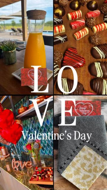 Seven guests in camp this week, complete privacy 🤩

With exclusive use of Ximuwu Safari Lodge, the day unfolds entirely on their terms — dining whenever the mood strikes, heading out on safari at their preferred time, favourite music setting the rhythm of a poolside celebration, and a team devoted to making every moment effortless.

And today, romance adds something extra.
Love is in the bush.
Happy Valentine’s Day from all of us at Ximuwu. ❤️