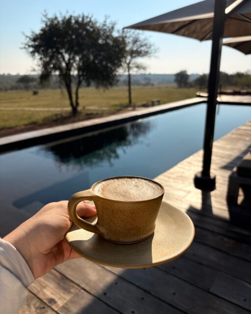 Mornings at Ximuwu. ☀️
Fresh seasonal fruit, house-made granola, local produce and uninterrupted bush views.
There are few better ways to start a safari day.
#XimuwuSafariLodge #LuxurySafari #SafariBreakfast #SouthAfricaTravel
