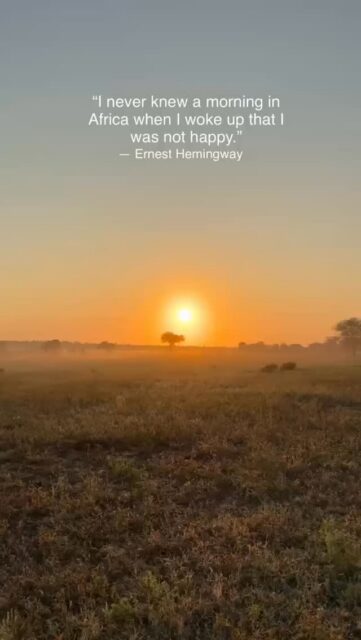 “I never knew a morning in Africa when I woke up that was not happy”
- Earnest Hemingway
Early morning game drives, a hot cup of coffee, watching the sunrise over the bushy plains. Definitely worth waking up for.
📷 @plw_photography
#wildlife #safari #travel #wildza