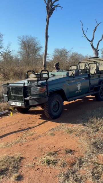 A little mechanical issue in the bush won’t stop us from giving you the best safari experience! 

Thankfully we have a number of game viewers, a speedy rescue team, and most importantly- we have snacks, hot drinks, cold drinks and binoculars on hand at all times 🌟