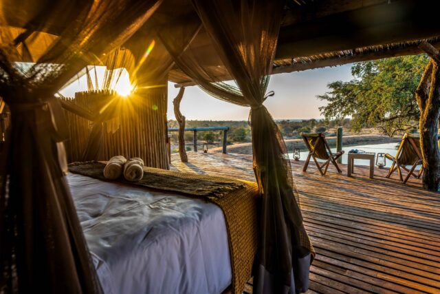 Tonight’s room comes with a slightly different wake-up call. 🐘
Perched above the waterhole and surrounded by nothing but wilderness, our Tree House takes sleeping in the bush to another level.
Spend golden hour on the deck, fall asleep to the soundtrack of the African night and wake up wondering who might have visited the waterhole while you slept.
This is safari without the walls between you and the experience.
#wildsafari #accessibletravel #accessibletourism #southafricasafari