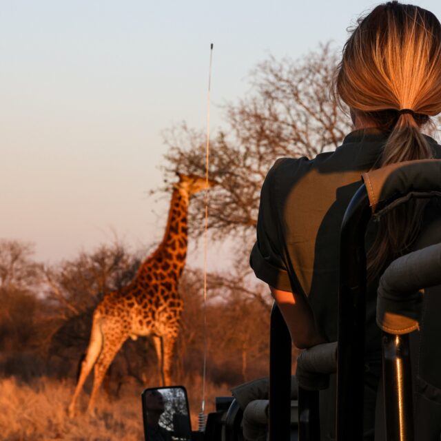 Your seat is waiting 💺 

#safari #southafrica #krugernationalpark #africadventure