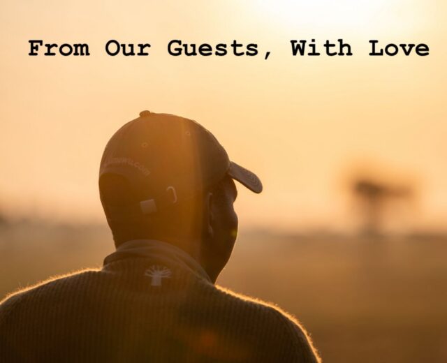 Our recent guests have shared their thoughts, and we couldn’t be happier. We’re grateful for every kind word and for being part of your safari journey:

“What a stunning lodge with the most amazing team running it.

We have just spent 8 days at this lodge. We have done numerous safaris in South Africa and elsewhere in Africa. This lodge is fabulous.

Every part was wonderful from the game drives, the staff, the spa, the food and the actual lodge itself. The view from the deck and pool area is the best game viewing I have ever experienced from a lodge without leaving for a drive. We had cheetah, leopard (brief glimpse before it ran away from the hyena) and hyena with the stolen kill on our first morning. On another night we had wild dogs. On every single night we had hyenas, impalas, zebra and jackals.

Aside from the great game on the drives and the decking, we enjoyed the spa facilities, the people and the best food - without doubt we have ever experienced in a safari lodge. The chefs are unbelievably talented and offer foods I’ve never had on safari from every continent. The staff are second to none-we struggled to say goodbye. We had fun with them and they are all so professional. Love the fact they promote young talent who are trying to make a career in hospitality giving young people in South Africa a chance of a future.

The experience of the staff overseeing them is so vast you are in very good hands. Our guide, Rudi, was THE most knowledgeable I’ve ever had in my 20 years on safaring and | learnt new facts but also felt we were in massively safe hands. He is like an elephant whisperer! Every single member of the team are wonderful from the hosts, Rudi and Melinda to the unsung heroes who take care of you behind the scenes.

We met the owners several times during our stay here too - really welcoming, genuinely nice couple.

Would I go back again - 100%. Amazing place. Book it!! “

 ❤️❤️❤️❤️❤️