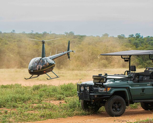 Probably our most popular inclusion at Ximuwu — the scenic helicopter flight! 

There’s truly nothing like seeing the bush from above… gliding over the treetops, spotting elephants from the air, and taking in endless views of the Klaserie.
Sometimes it’s even a little too exciting — guests often spot four of the Big Five in just 30 minutes, which makes our guides shake their heads in disbelief 😄
An unforgettable experience that gives you a whole new perspective of the wild.

What would you hope to see first from the sky — elephants, lions, or maybe a herd of buffalo? 🐘🦁🐃

#XimuwuSafariLodge #HelicopterSafari #LuxurySafari #Klaserie #SafariAdventure #BigFive