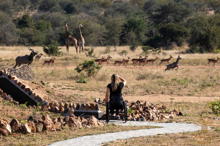 A photograph of a wheelchair user named Sophie Morgan on a pathway in the bush. From her chair, she's watching impalas, kudus, and giraffes.