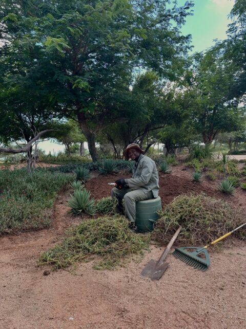 Today we want to put a spotlight on someone who usually stays behind the scenes: our Sibu 🌿

If you’ve been to Ximuwu, you’ve admired our beautiful gardens — especially now, after all this wonderful rain, when everything is bursting with life. What you may not have seen is the person who lovingly takes care of it all. Sibu is always quietly hard at work, kind, dedicated, and often invisible… but absolutely essential.

We’re also very proud to share that Sibu recently passed his exam to become a butler. So on your next visit, don’t be surprised if you see him behind the bar, shaking cocktails instead of tending the garden.

Watching our team grow alongside the lodge is one of the things that makes Ximuwu so special. Well done, Sibu — we’re proud of you.