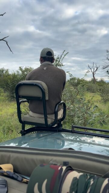 A slow drive, a bit of scanning… and then suddenly all eyes in one direction.

A leopard stretched out in a tree, completely relaxed, while we watch from the vehicle below. It’s one of those sightings that instantly changes the energy on the vehicle.

For many guests, this is right at the top of the wishlist. And when it happens, it never disappoints.
One of many beautiful sightings we were fortunate to enjoy at Ximuwu last week 🐆