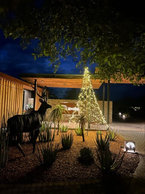 The festive season has arrived at Ximuwu! The tree is up, the decorations are in place, and our lodge is filled with that special December atmosphere.

It’s a wonderful time of year to slow down, enjoy nature, and make lasting memories in the bush.
We’re all set for a beautiful month ahead and can’t wait to welcome our guests for a relaxed and joyful festive season at Ximuwu 🎄