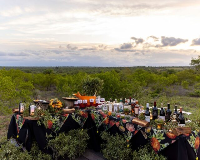 After an exciting game drive, there’s nothing quite like ending the day at our sunset bush bar. Perched at the highest point of Ximuwu, with wide views over the mountains, it’s the perfect place to slow down and soak it all in.

A glass of Veuve Clicquot, a classic G&T, delicious homemade snacks, and the African sky putting on its evening show… this is safari at its finest.
Cheers to golden light, good company and unforgettable sunsets at Ximuwu. 🥂🌅

📸 @francoisfouriesafaris