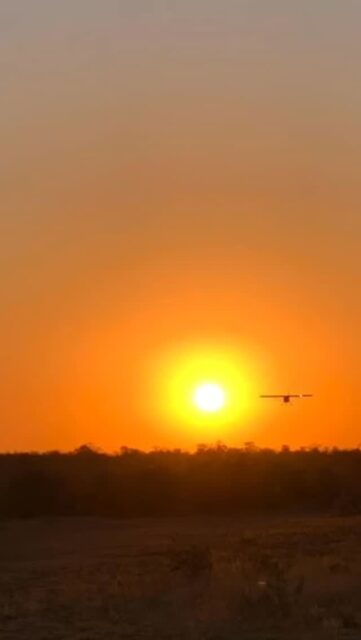 Looking back at 2025, it’s the golden moments that stand out.

The first light of the morning, painting the bush in soft, fresh colours.
The last light of the day, casting everything in a warm, peaceful glow.
From early morning game drives to sunsets on the deck, these were the moments that made this year unforgettable at Ximuwu.

A heartfelt thank you to all our guests who stayed with us in 2025 – you made this year truly special. Here’s to more golden days ahead!