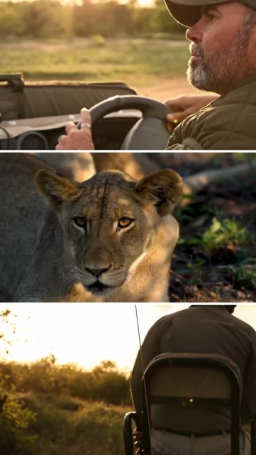 Who’s ready to explore the Klaserie? Rudi is on the wheel and Thulani in the tracker seat, guiding the way on a game drive full of surprises. From majestic elephants to elusive predators, every turn brings a new adventure. Come and experience the magic of the African bush like never before! ✨🐘
📷 @francoisfouriesafaris @klaserieprivatenaturereserve 

#XimuwuSafariLodge #KlaserieWildlife #SafariAdventure #GameDriveMagic #LuxurySafari WildlifeEncounters