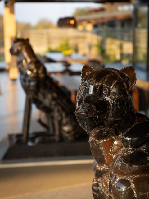 At Ximuwu, every detail has been carefully considered.

From the moment you walk in, you’ll notice that nothing is random or off the shelf. Our interiors have been thoughtfully designed specifically for the lodge, with each piece reflecting the colours, textures and atmosphere of the bush around us.

The paintings are commissioned to complement our palette, while many of the sculptures and features are created by talented local artists. These elements don’t simply decorate the space — they add character and a real sense of place.
Ximuwu is designed to feel like a home in the bush. Warm, comfortable and personal, while still connected to the wild surroundings just outside.

It’s this balance between refined design and a relaxed, natural feel that makes the lodge so special… could you see yourself settling in here?